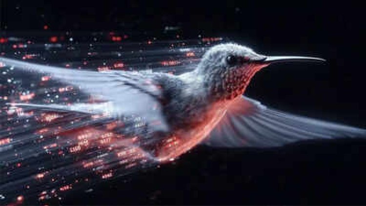 एलन मस्क ने किफायती डिजाइन वाला ग्रोक 4 फास्ट मॉडल लॉन्च किया