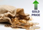 क्या बजट 2026 घरेलू सोने को आर्थिक विकास का इंजन बना सकता है?