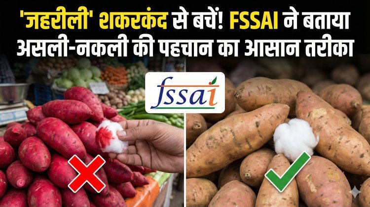 क्या आप भी खा रहे हैं 'जहरीली' शकरकंद? FSSAI ने बताया असली और नकली की पहचान का आसान तरीका